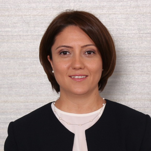 Ayşen Pamir Aksoy